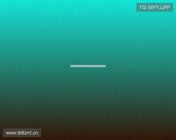 小九官网下载安装全攻略让你轻松体验最新功能和服务